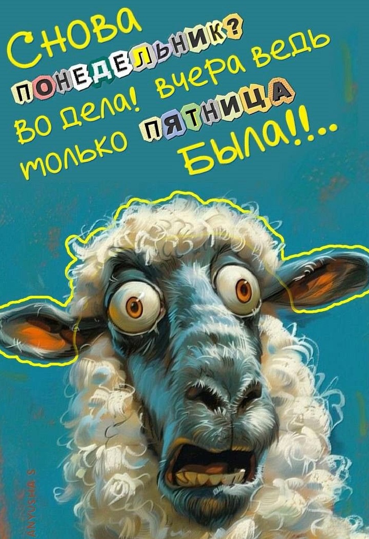 Фото из свободного доступа интернета