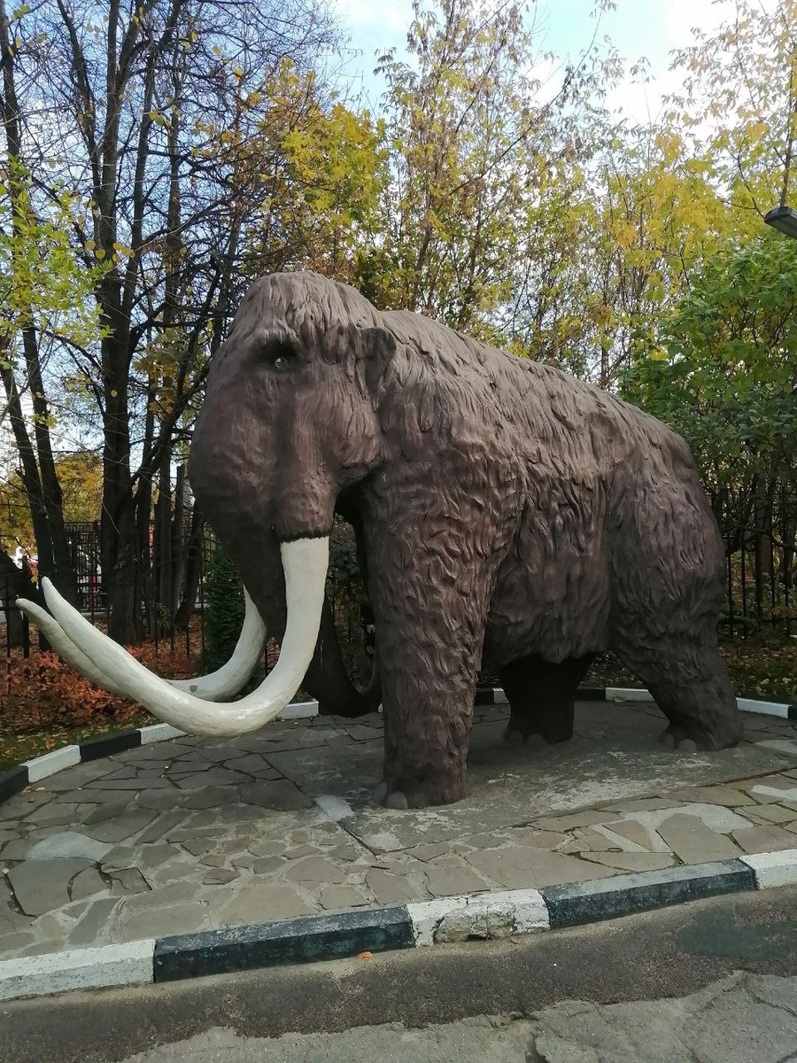 Три года назад я посетила музей Дарвина в Москве. Музей был основан зоологом Александром Котсом, как музей эволюции. Котс был дарвинистом и неплохо изготавливал чучела наших братьев меньших. 