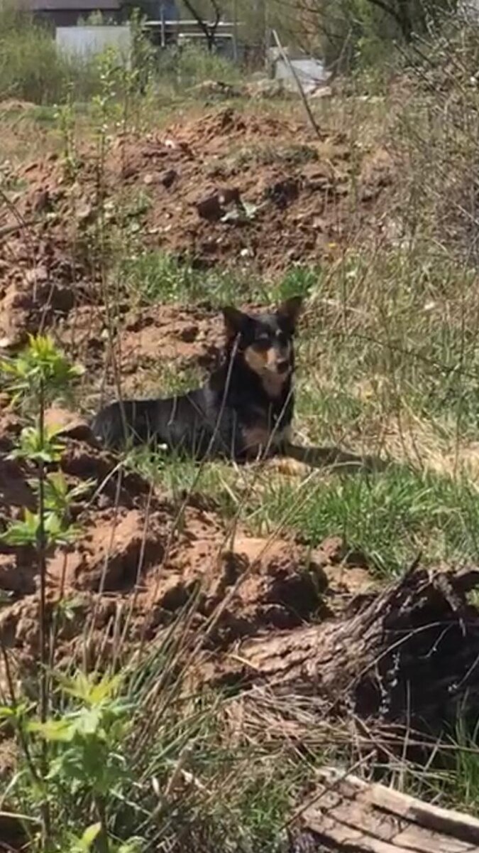 Мамочка Купера