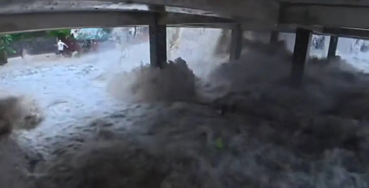    Фото: скриншот видео из соцсетей