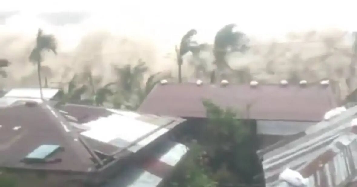    Фото: скриншот видео из соцсетей