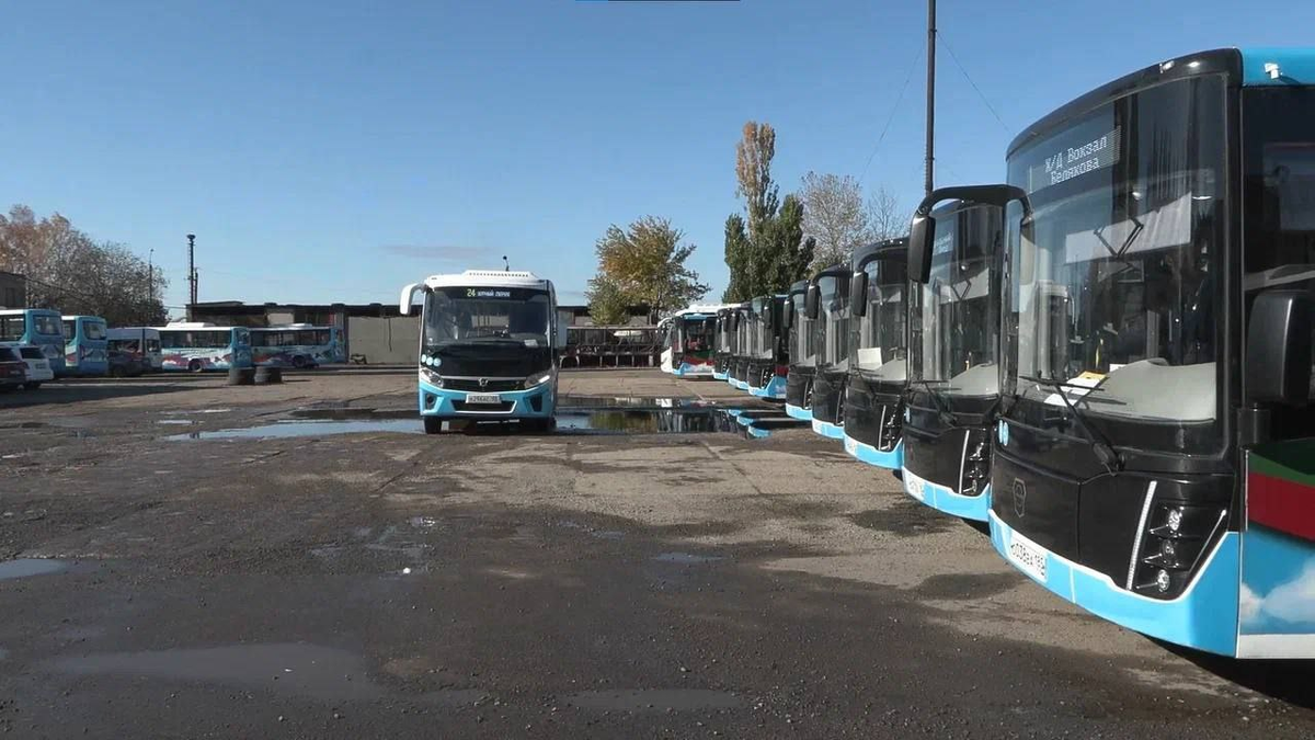 Автобусы ЛиАЗ-5292-65 и  ПАЗ-320405 "Vector Next"