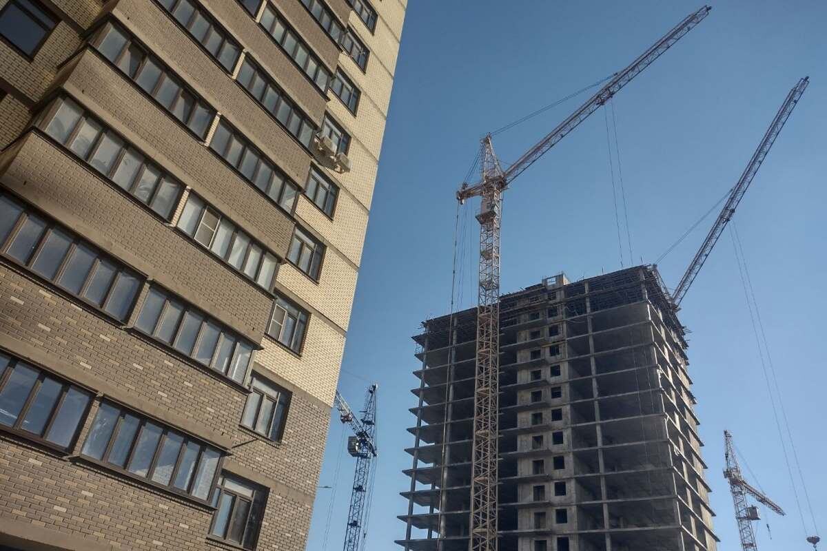    Фото: правительство Ростовской области, источник: donland.ru