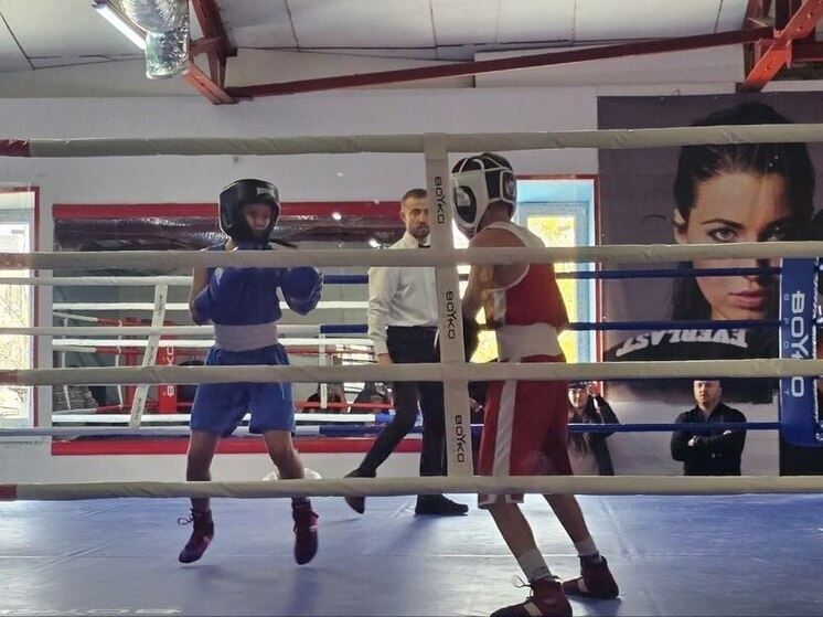     Фото: УМВД России по ДНР