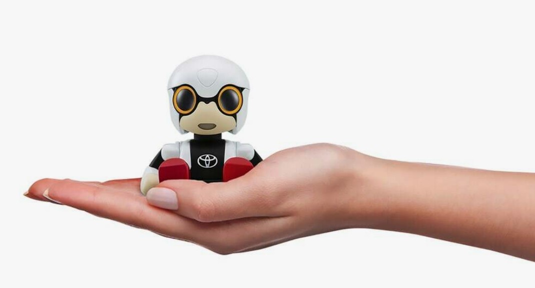 фото взято из открытых источников