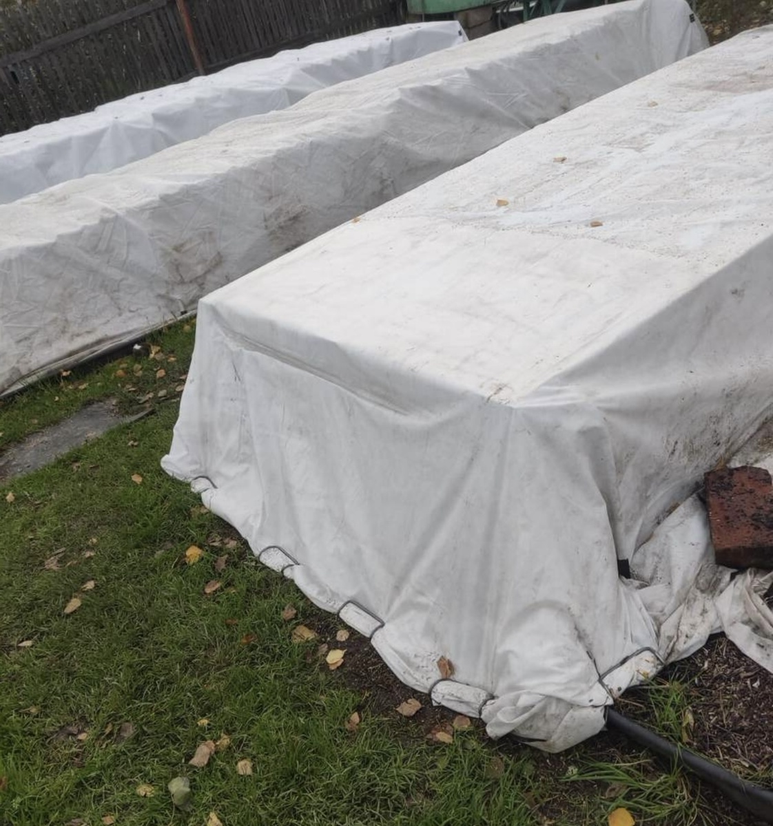 Фотография подписчицы