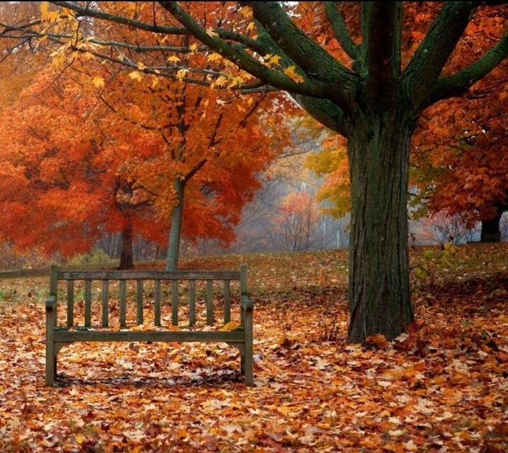 Все фото из открытых источников в интернете