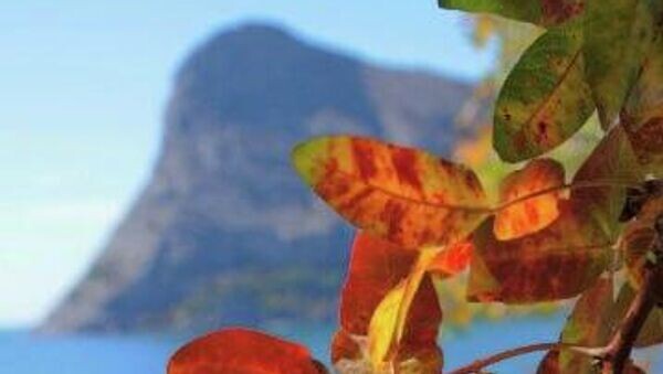    © Пресс-служба ГУП РК "Вода Крыма"