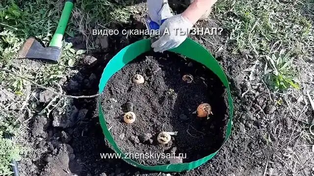 Верхушка должна торчать наружу! Это важно!!! Не перепутай!.