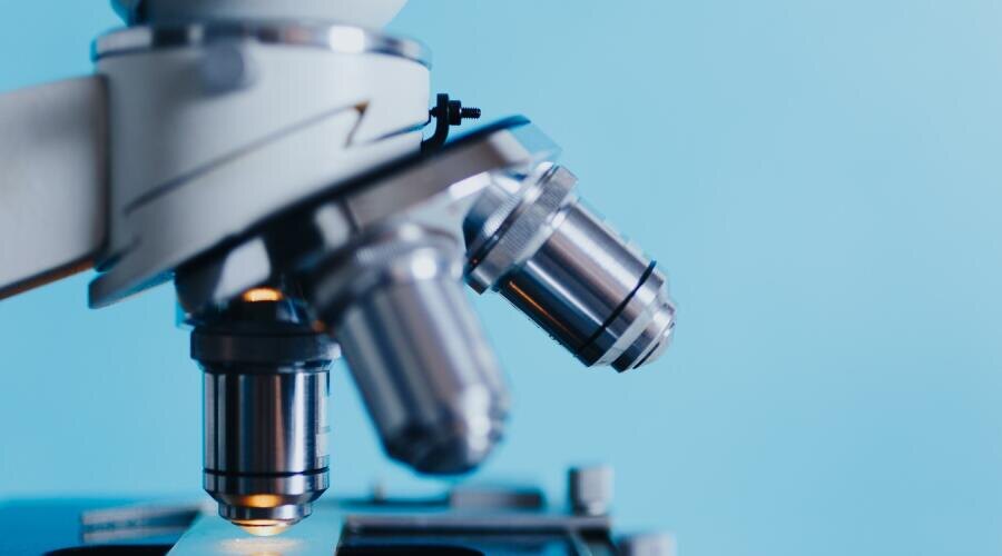    Российские предприниматели всё чаще инвестируют в биотехнологии Фото: по лицензии CC0 PxHere.com