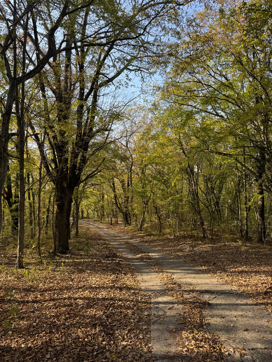 Природа - лучший лекарь от суеты
