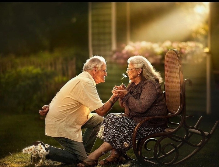 Все фото взяты из открытых источников в интернете 