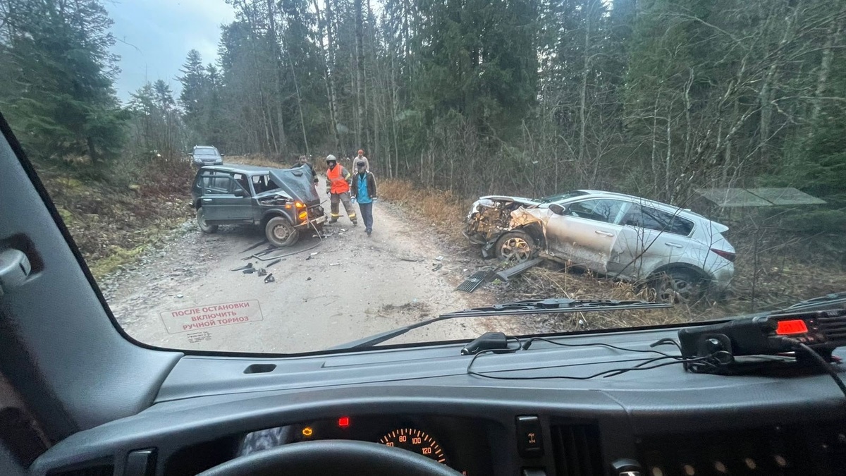    фото: © Сергей Крупин