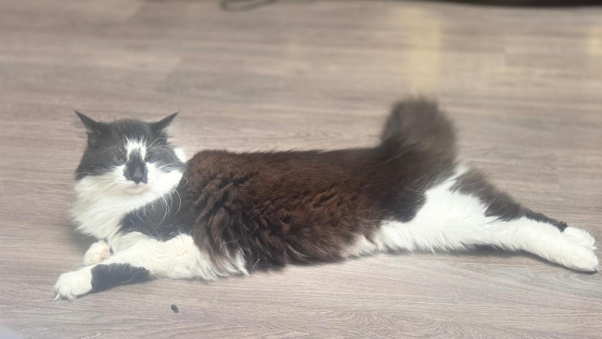 фото из личных архивов