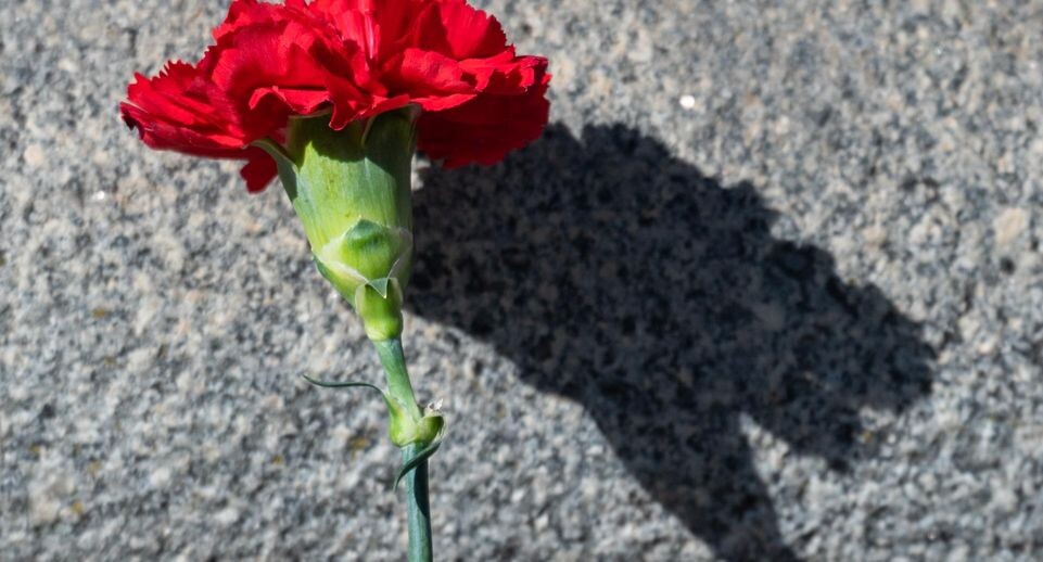    Robert Michael/dpa / www.globallookpress.com