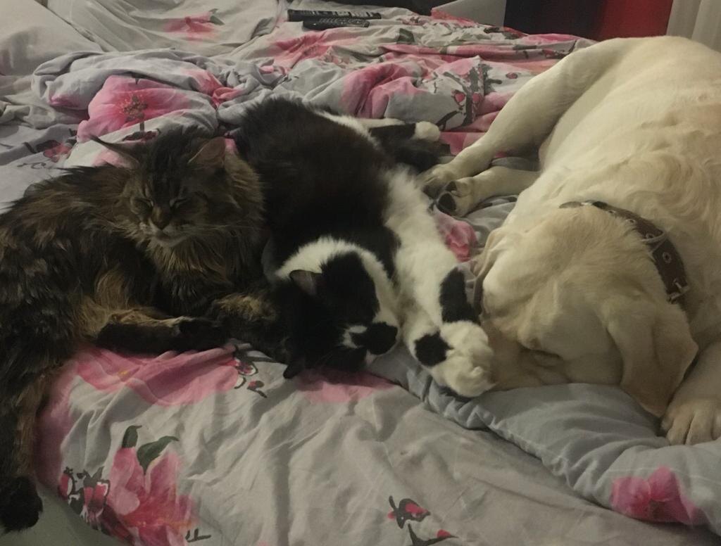 фото из личных архивов