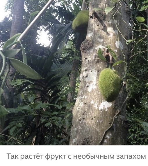 Из личного архива. 