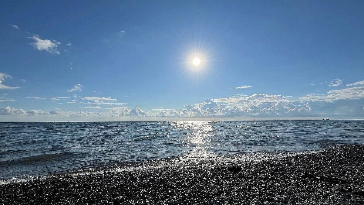    Фото: телеканал «Краснодар»