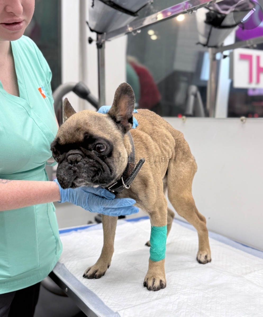 Первые сутки в клинике🥺