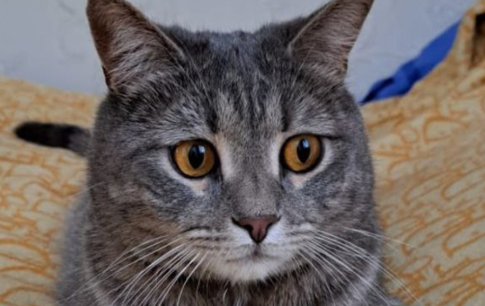     Личный архив Раисы Платоновой/Regions