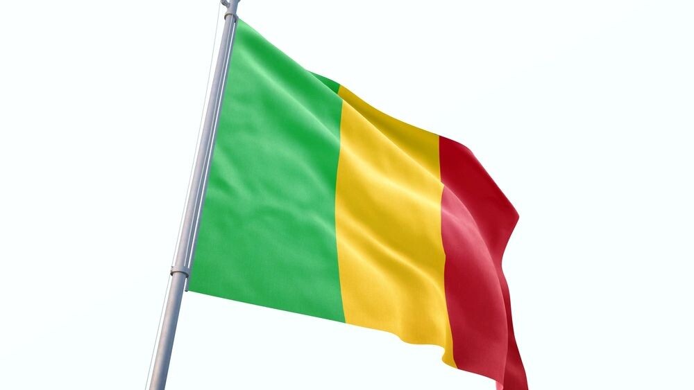    Фото: Mini Onion/Shutterstock/Fotodom