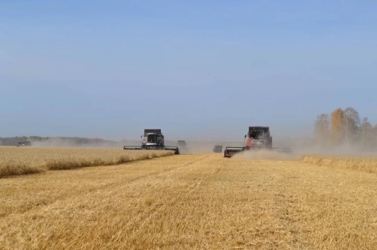    Омские аграрии намолотили рекордный урожай несмотря на капризы погоды