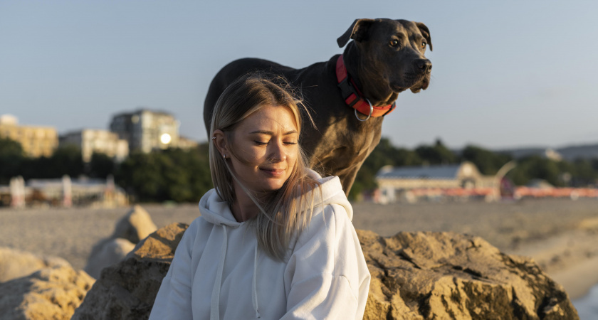    Любят своих хозяев до беспамятства: четыре породы собак, которые будут всегда рядом