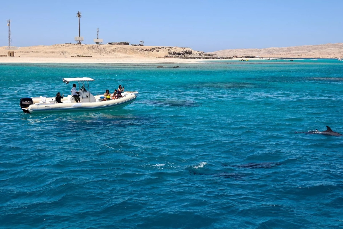    Фото: Павел Львов, источник РИА Новости