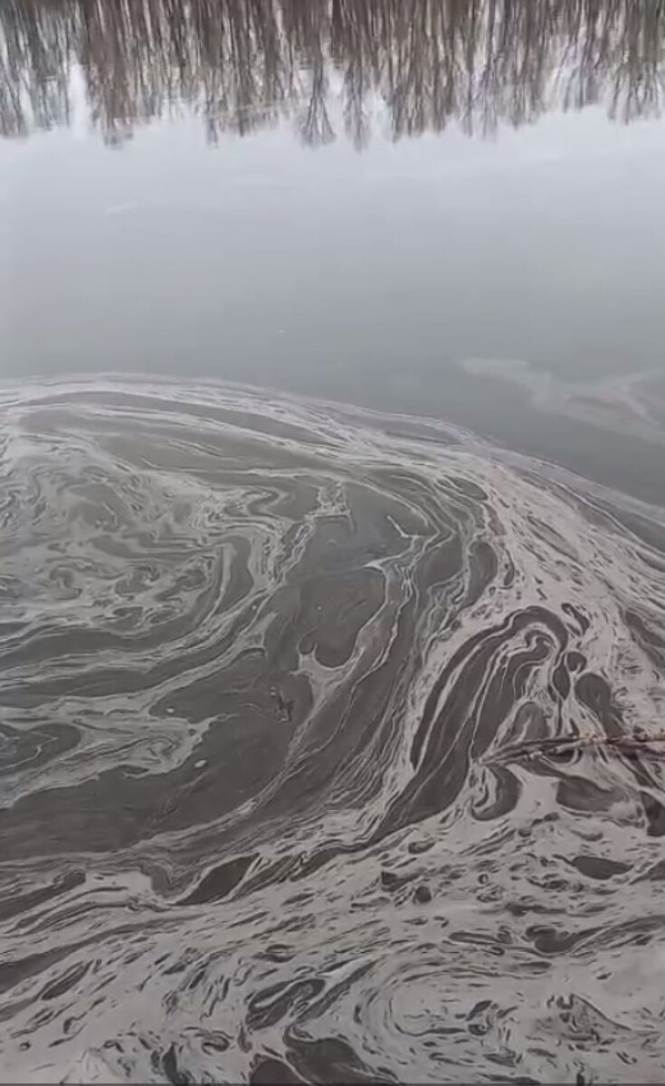    Подозрительные разводы на Бии. Источник: t.me/inciiiid