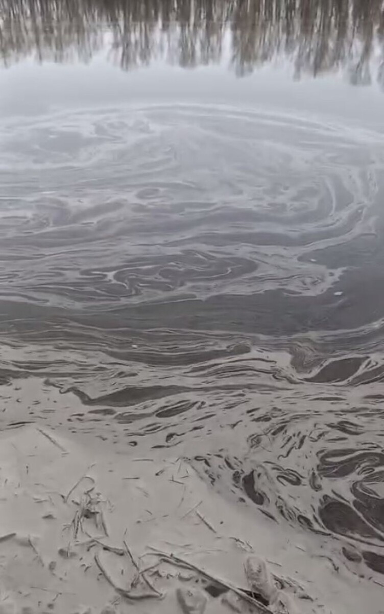    Подозрительные разводы на Бии. Источник: t.me/inciiiid