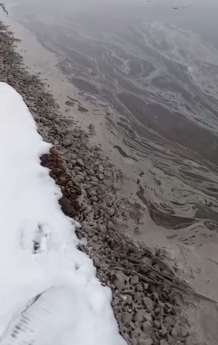    Подозрительные разводы на Бии. Источник: t.me/inciiiid