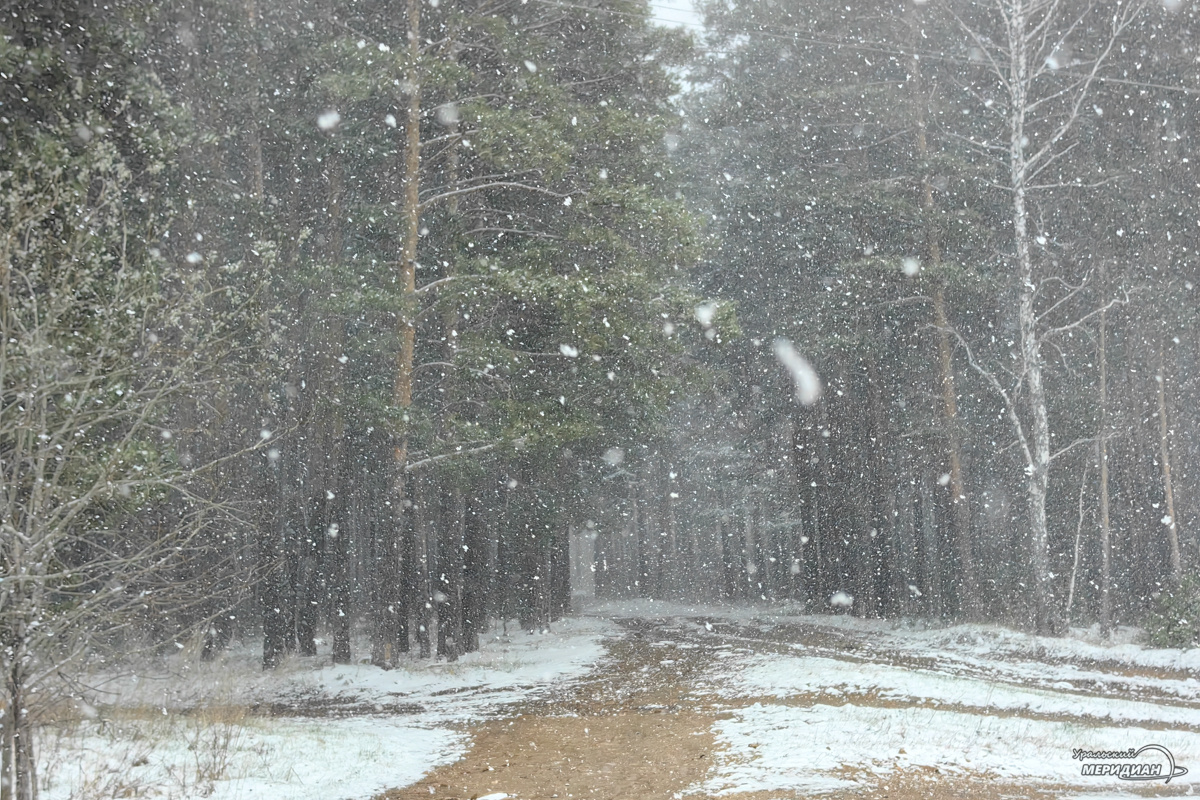    Фото: © ИА «Уральский меридиан»