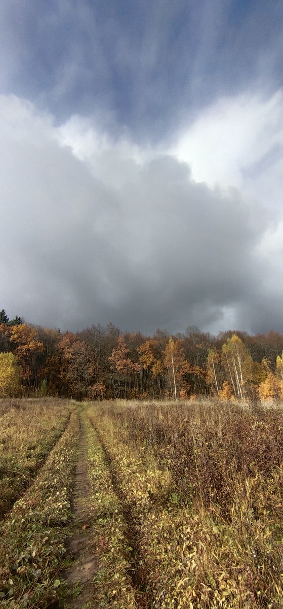 Личное фото