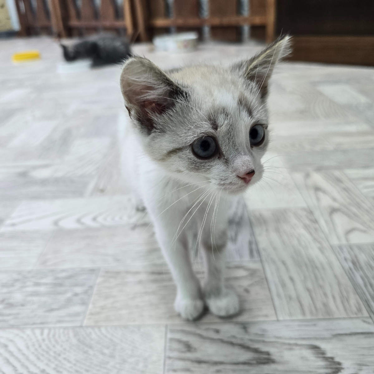 малыш смотрит в душу пустыми глазами