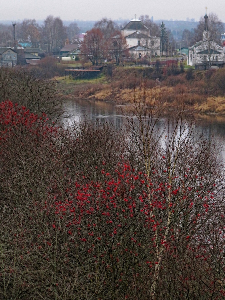 ,,И только гроздья рябины алым огнём горят..."