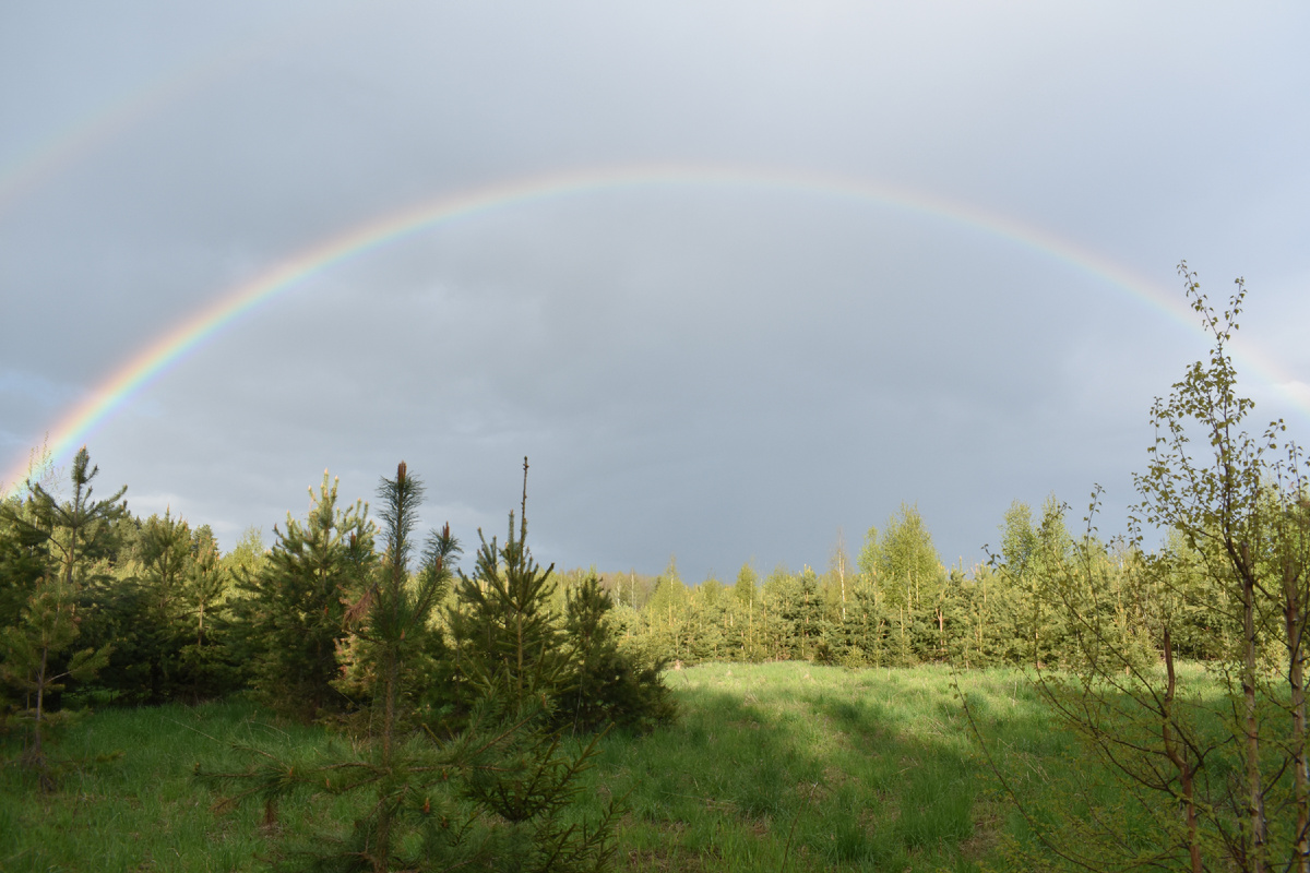 Вятская природа