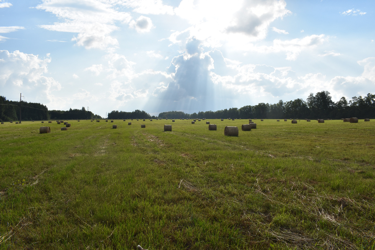 Вятская природа