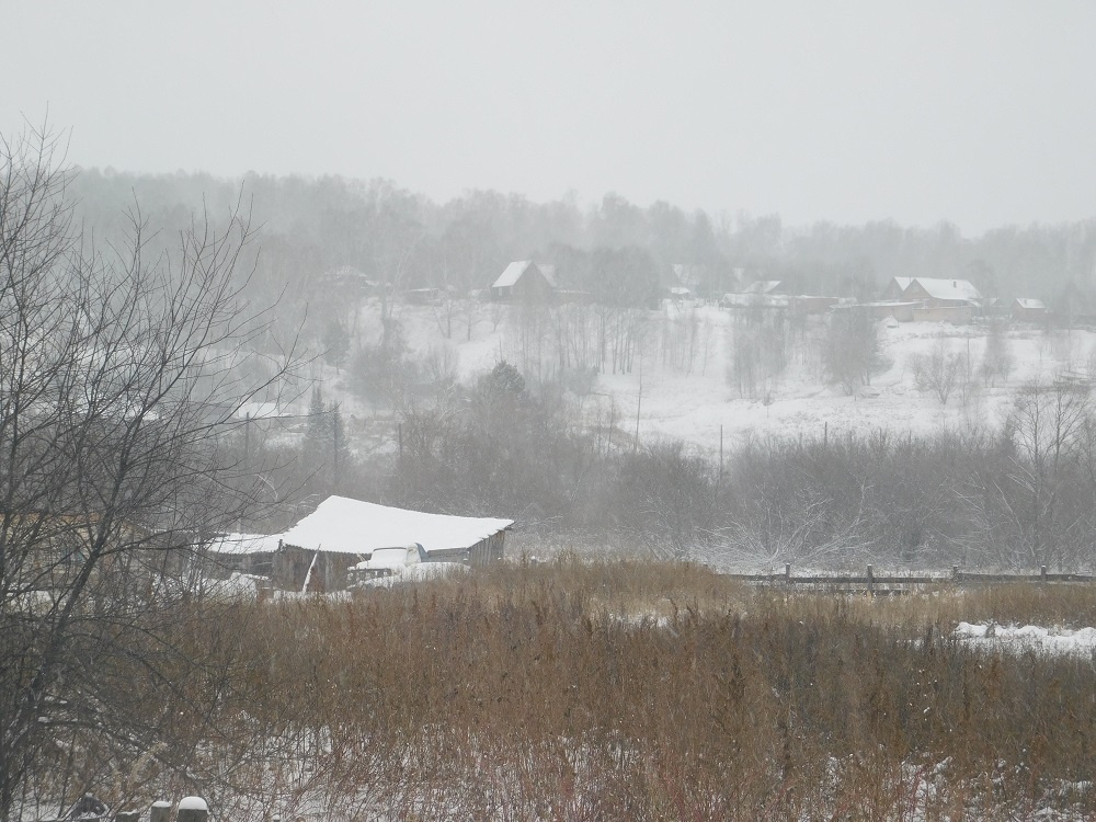    Снег, метели, пасмурно. Фото Анны Зубаревой