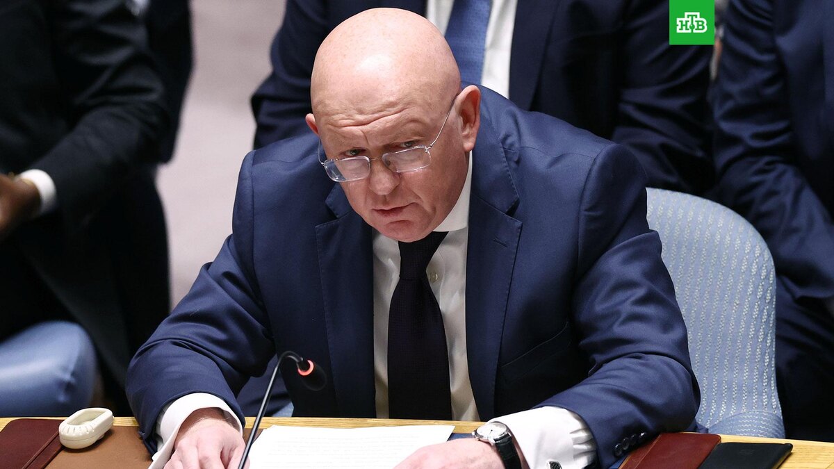    Фото: РИА Новости © 2025, Валерий Шарифулин