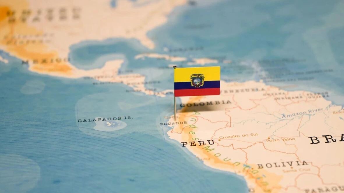    Фото: hyotographics/Shutterstock/Fotodom