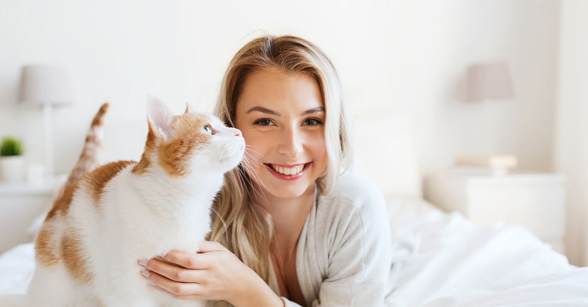 Коты как источник зависимости: учёные доказали заговор шерстистых