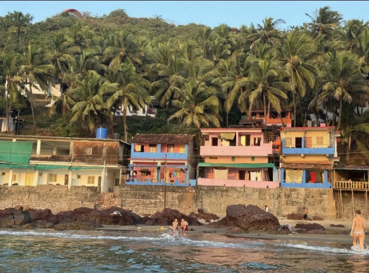 Фото из интернета