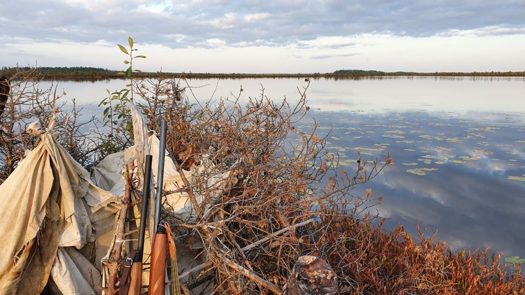 Создать карусель