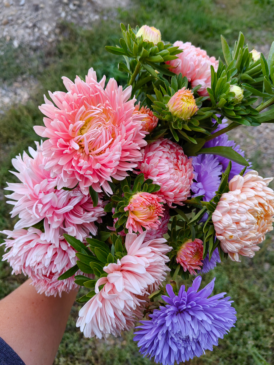 Шикарные букеты с августа собирала!