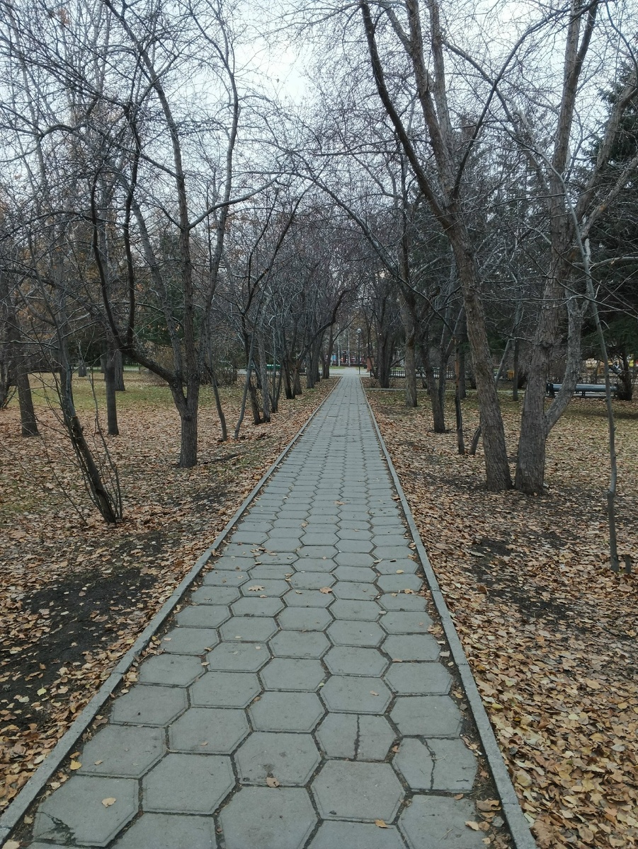 Сквер образца 2.11.2025