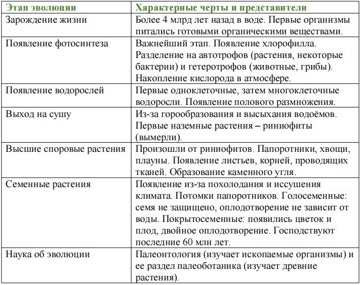 Таблица: Развитие растительного мира