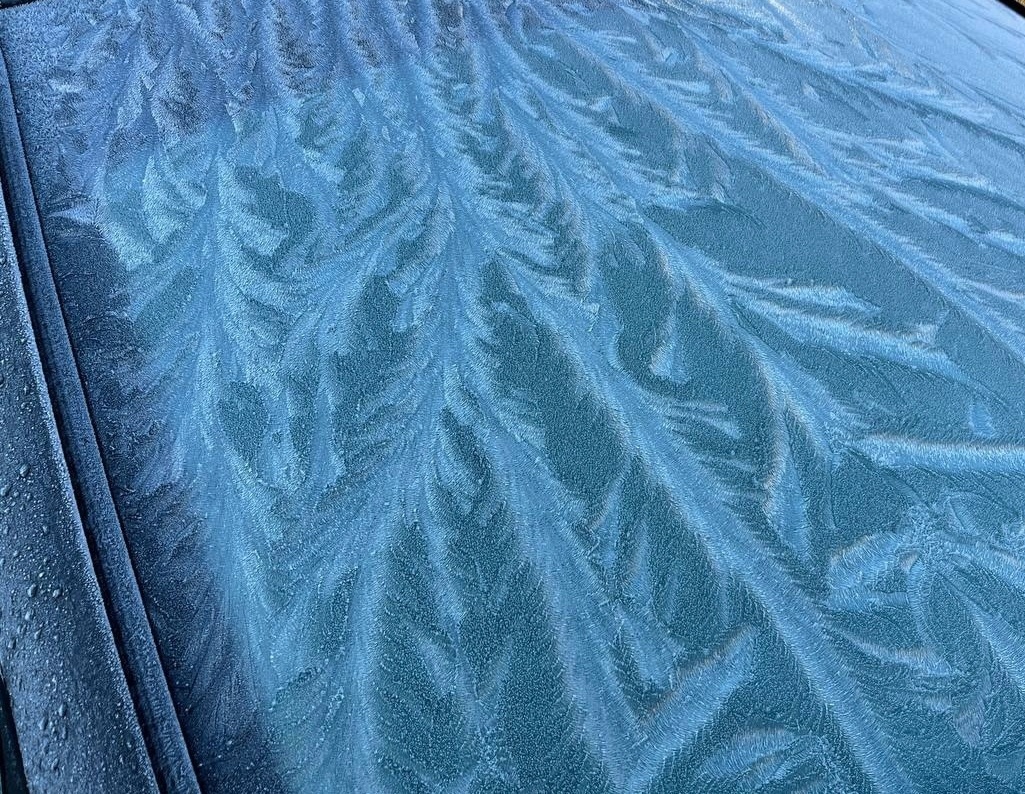    Фото: Госавтоинспекция Петрозаводска / ВК