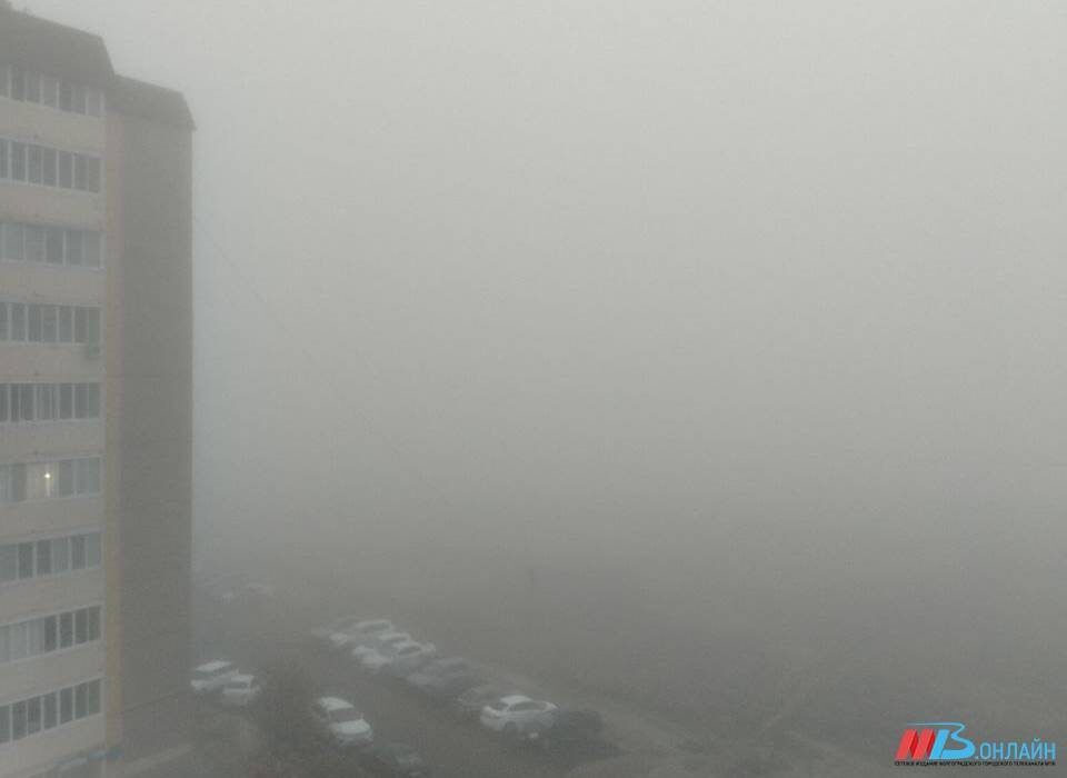    Фото: МТВ.ОНЛАЙН / Елизавета Денисова