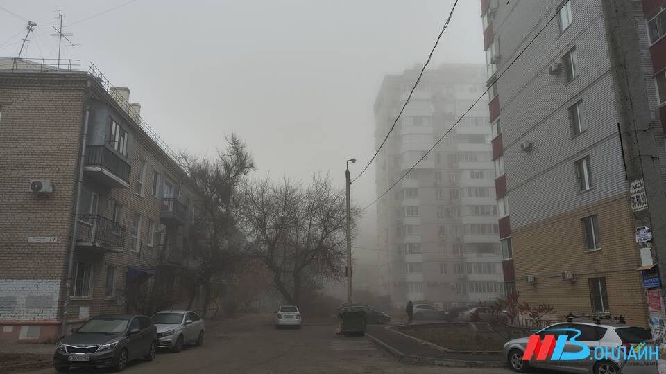    Фото: МТВ.ОНЛАЙН / Елизавета Денисова