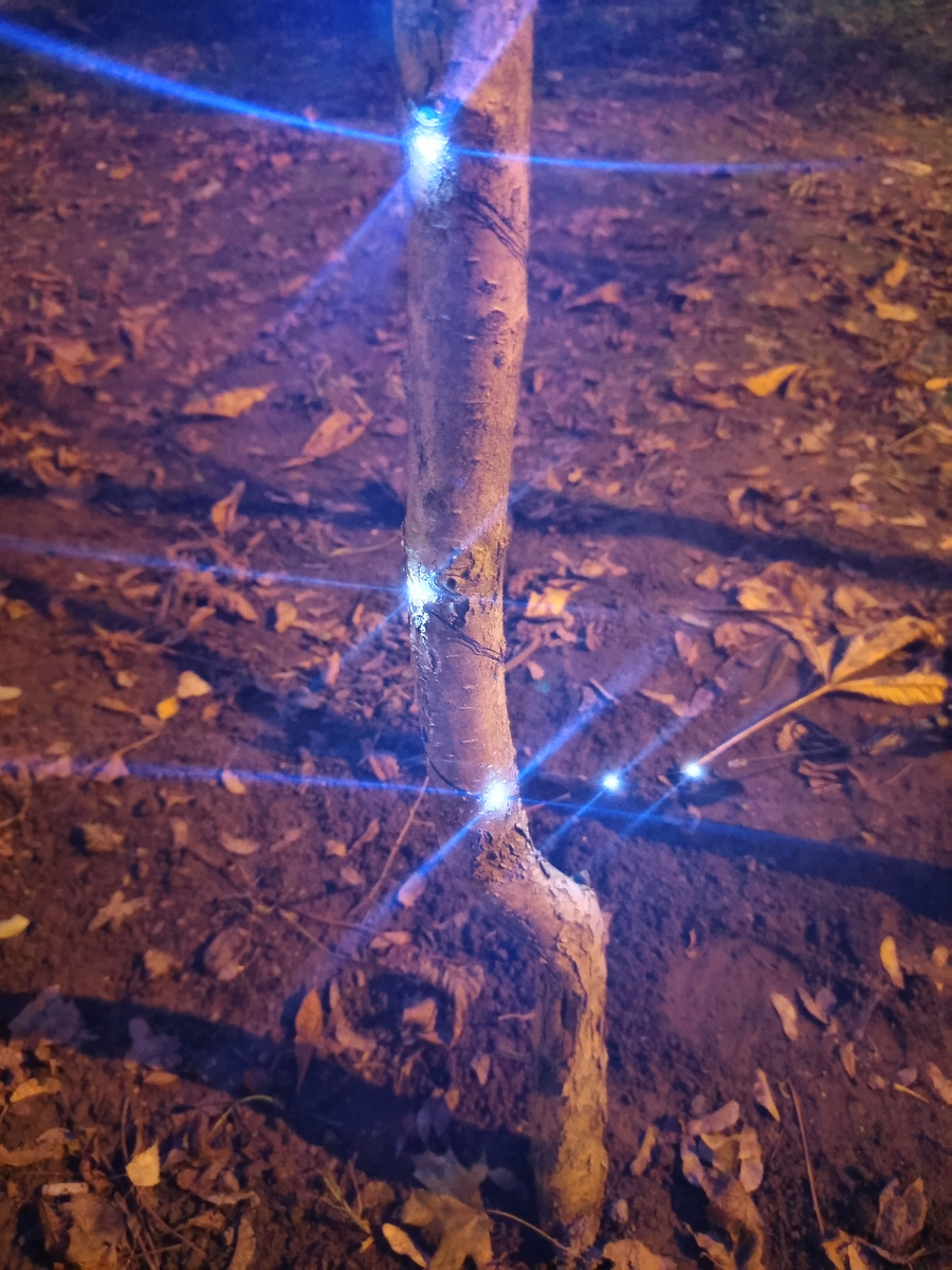 Для обложки.